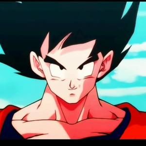 Meet your Posher, Noah